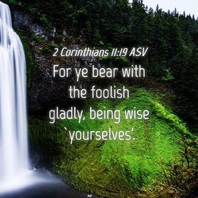 Picture 04 - 2 Corinthians 11:19 ASV - For ye bear with the foolish gladly, being wise - Bible Verse Picture