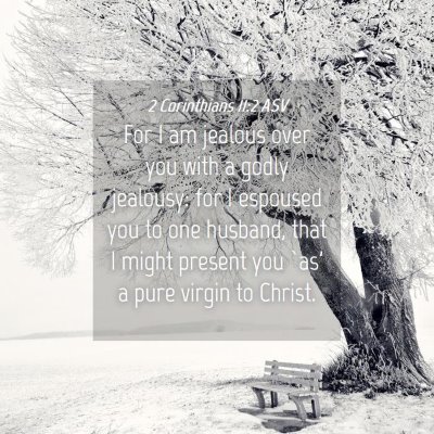 Picture 04 - 2 Corinthians 11:2 ASV - For I am jealous over you with a godly jealousy: - Bible Verse Picture
