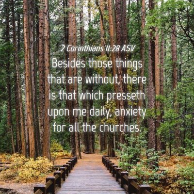Picture 04 - 2 Corinthians 11:28 ASV - Besides those things that are without, there is - Bible Verse Picture