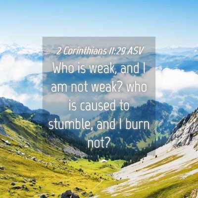 Picture 04 - 2 Corinthians 11:29 ASV - Who is weak, and I am not weak? who is caused to - Bible Verse Picture