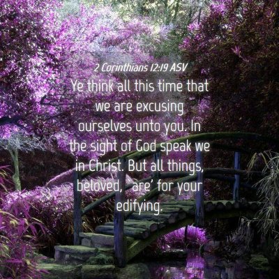 Picture 04 - 2 Corinthians 12:19 ASV - Ye think all this time that we are excusing - Bible Verse Picture