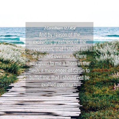 Picture 04 - 2 Corinthians 12:7 ASV - And by reason of the exceeding greatness of the - Bible Verse Picture
