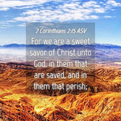 Picture 04 - 2 Corinthians 2:15 ASV - For we are a sweet savor of Christ unto God, in - Bible Verse Picture