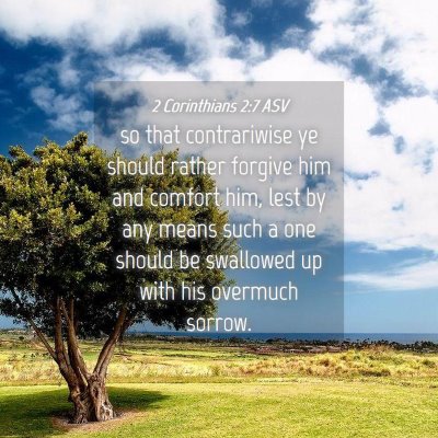 Picture 04 - 2 Corinthians 2:7 ASV - so that contrariwise ye should rather forgive him - Bible Verse Picture