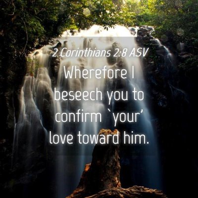 Picture 04 - 2 Corinthians 2:8 ASV - Wherefore I beseech you to confirm `your' love - Bible Verse Picture