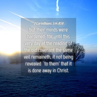 Picture 04 - 2 Corinthians 3:14 ASV - but their minds were hardened: for until this - Bible Verse Picture