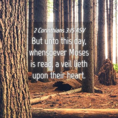 Picture 04 - 2 Corinthians 3:15 ASV - But unto this day, whensoever Moses is read, a - Bible Verse Picture