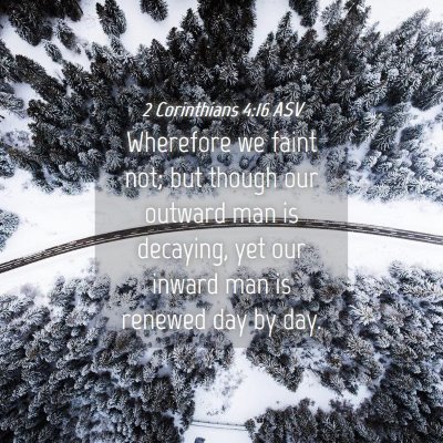 Picture 04 - 2 Corinthians 4:16 ASV - Wherefore we faint not; but though our outward - Bible Verse Picture