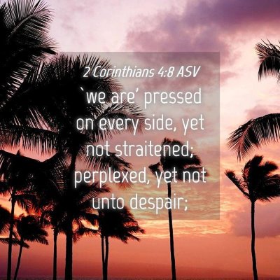 Picture 04 - 2 Corinthians 4:8 ASV - `we are' pressed on every side, yet not - Bible Verse Picture