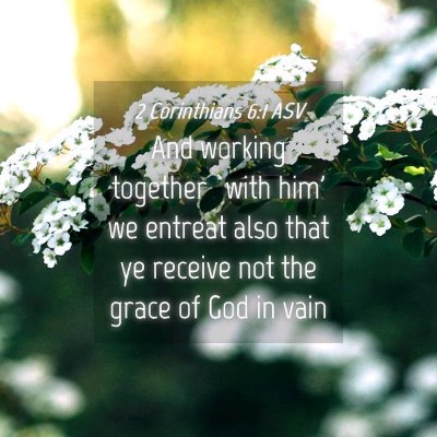 Picture 04 - 2 Corinthians 6:1 ASV - And working together `with him' we entreat also - Bible Verse Picture
