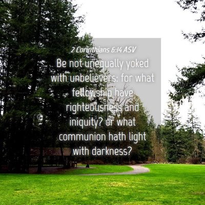 Picture 04 - 2 Corinthians 6:14 ASV - Be not unequally yoked with unbelievers: for what - Bible Verse Picture
