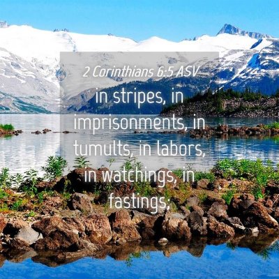 Picture 04 - 2 Corinthians 6:5 ASV - in stripes, in imprisonments, in tumults, in - Bible Verse Picture