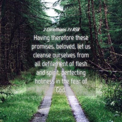 Picture 04 - 2 Corinthians 7:1 ASV - Having therefore these promises, beloved, let us - Bible Verse Picture