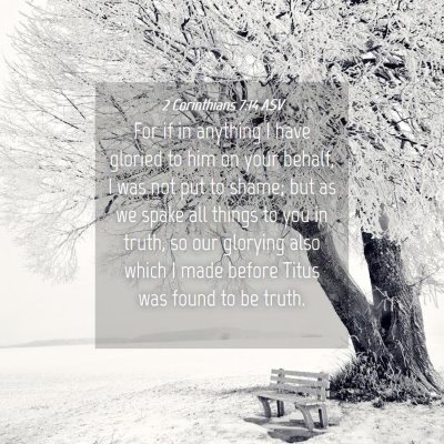 Picture 04 - 2 Corinthians 7:14 ASV - For if in anything I have gloried to him on your - Bible Verse Picture