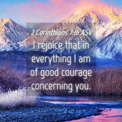 Picture 04 - 2 Corinthians 7:16 ASV - I rejoice that in everything I am of good courage - Bible Verse Picture