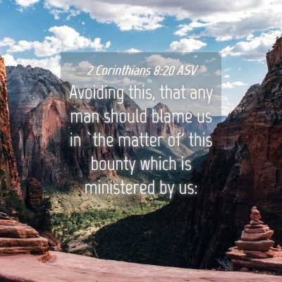 Picture 04 - 2 Corinthians 8:20 ASV - Avoiding this, that any man should blame us in - Bible Verse Picture