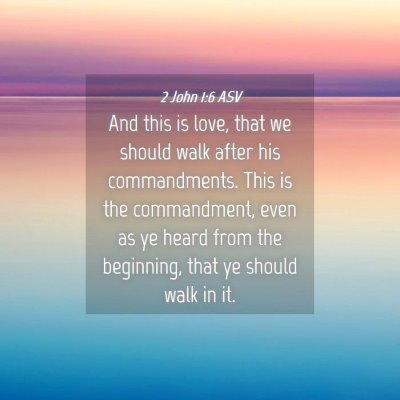 Picture 04 - 2 John 1:6 ASV - And this is love, that we should walk after his - Bible Verse Picture