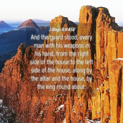 Picture 04 - 2 Kings 11:11 ASV - And the guard stood, every man with his weapons - Bible Verse Picture