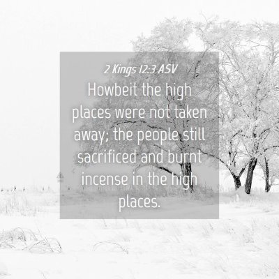 Picture 04 - 2 Kings 12:3 ASV - Howbeit the high places were not taken away; the - Bible Verse Picture