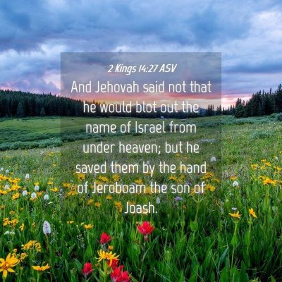 Picture 04 - 2 Kings 14:27 ASV - And Jehovah said not that he would blot out the - Bible Verse Picture