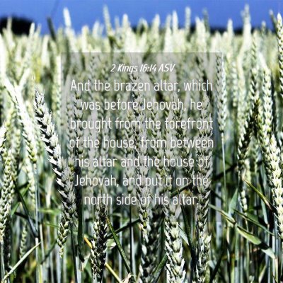 Picture 04 - 2 Kings 16:14 ASV - And the brazen altar, which was before Jehovah, - Bible Verse Picture