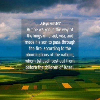 Picture 04 - 2 Kings 16:3 ASV - But he walked in the way of the kings of Israel, - Bible Verse Picture
