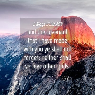 Picture 04 - 2 Kings 17:38 ASV - and the covenant that I have made with you ye - Bible Verse Picture