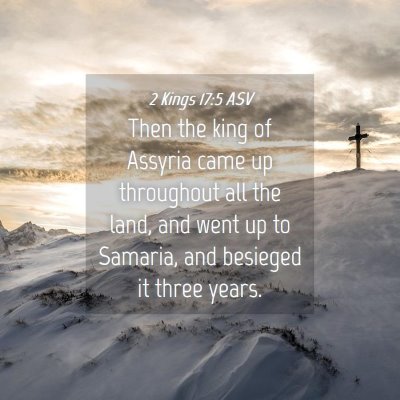 Picture 04 - 2 Kings 17:5 ASV - Then the king of Assyria came up throughout all - Bible Verse Picture