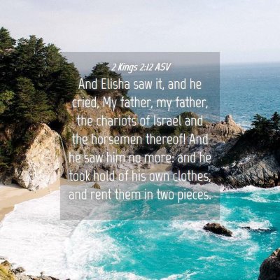 Picture 04 - 2 Kings 2:12 ASV - And Elisha saw it, and he cried, My father, my - Bible Verse Picture