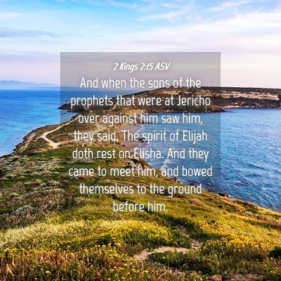 Picture 04 - 2 Kings 2:15 ASV - And when the sons of the prophets that were at - Bible Verse Picture