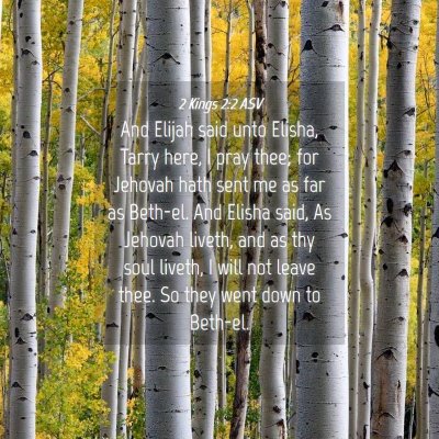 Picture 04 - 2 Kings 2:2 ASV - And Elijah said unto Elisha, Tarry here, I pray - Bible Verse Picture