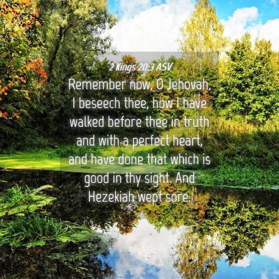 Picture 04 - 2 Kings 20:3 ASV - Remember now, O Jehovah, I beseech thee, how I - Bible Verse Picture