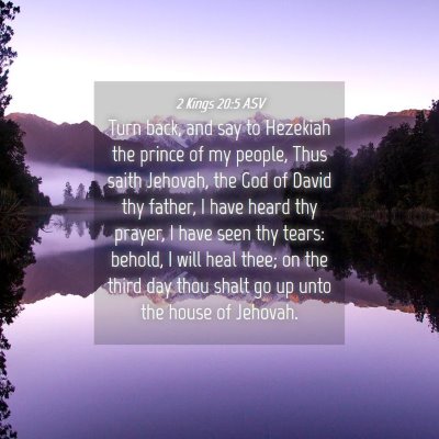 Picture 04 - 2 Kings 20:5 ASV - Turn back, and say to Hezekiah the prince of my - Bible Verse Picture