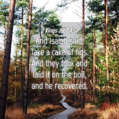 Picture 04 - 2 Kings 20:7 ASV - And Isaiah said, Take a cake of figs. And they - Bible Verse Picture