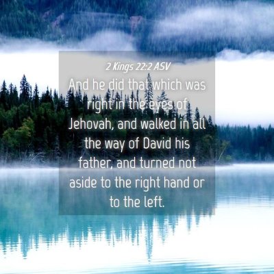 Picture 04 - 2 Kings 22:2 ASV - And he did that which was right in the eyes of - Bible Verse Picture