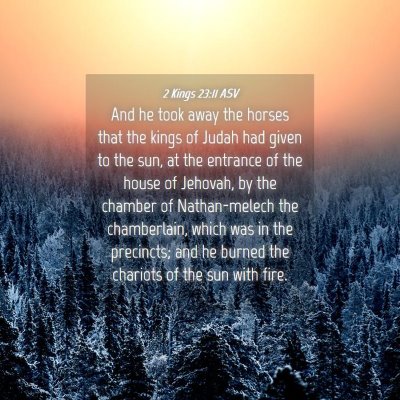 Picture 04 - 2 Kings 23:11 ASV - And he took away the horses that the kings of - Bible Verse Picture