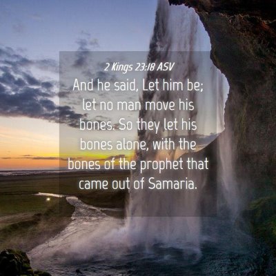 Picture 04 - 2 Kings 23:18 ASV - And he said, Let him be; let no man move his - Bible Verse Picture