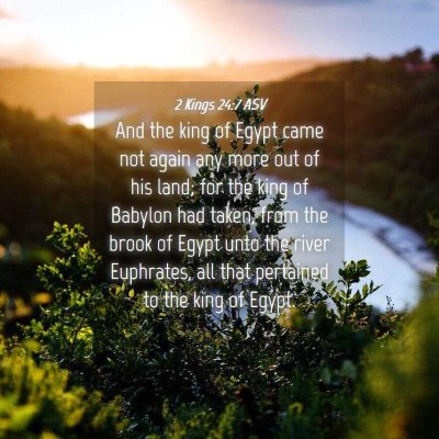 Picture 04 - 2 Kings 24:7 ASV - And the king of Egypt came not again any more out - Bible Verse Picture
