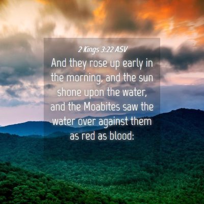 Picture 04 - 2 Kings 3:22 ASV - And they rose up early in the morning, and the - Bible Verse Picture