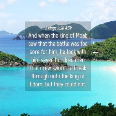 Picture 04 - 2 Kings 3:26 ASV - And when the king of Moab saw that the battle was - Bible Verse Picture