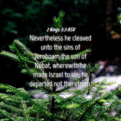 Picture 04 - 2 Kings 3:3 ASV - Nevertheless he cleaved unto the sins of Jeroboam - Bible Verse Picture