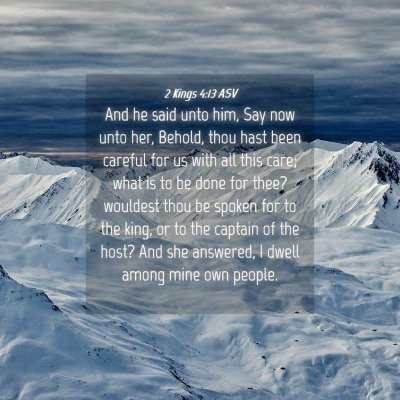 Picture 04 - 2 Kings 4:13 ASV - And he said unto him, Say now unto her, Behold, - Bible Verse Picture