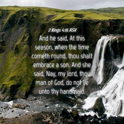 Picture 04 - 2 Kings 4:16 ASV - And he said, At this season, when the time cometh - Bible Verse Picture
