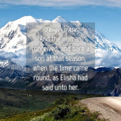 Picture 04 - 2 Kings 4:17 ASV - And the woman conceived, and bare a son at that - Bible Verse Picture