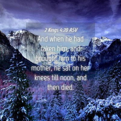 Picture 04 - 2 Kings 4:20 ASV - And when he had taken him, and brought him to his - Bible Verse Picture