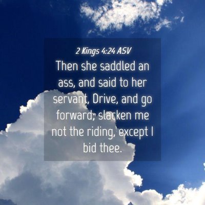 Picture 04 - 2 Kings 4:24 ASV - Then she saddled an ass, and said to her servant, - Bible Verse Picture