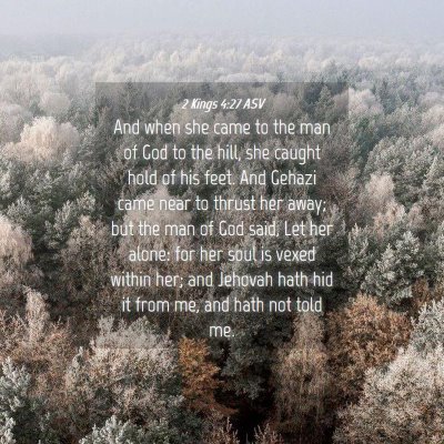 Picture 04 - 2 Kings 4:27 ASV - And when she came to the man of God to the hill, - Bible Verse Picture