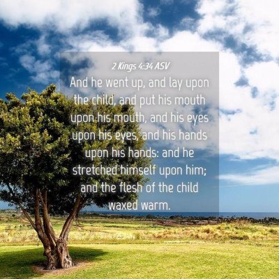 Picture 04 - 2 Kings 4:34 ASV - And he went up, and lay upon the child, and put - Bible Verse Picture