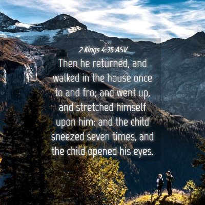Picture 04 - 2 Kings 4:35 ASV - Then he returned, and walked in the house once to - Bible Verse Picture