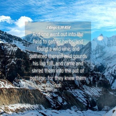 Picture 04 - 2 Kings 4:39 ASV - And one went out into the field to gather herbs, - Bible Verse Picture
